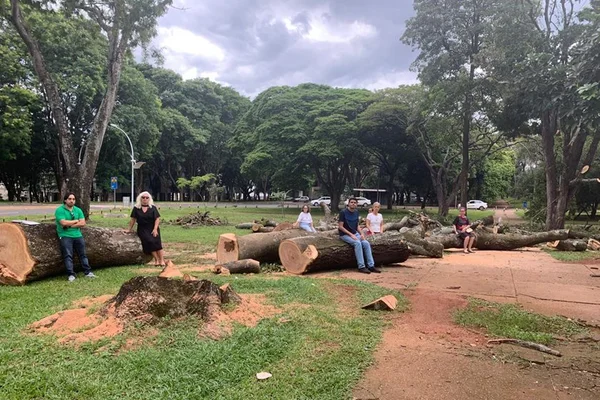 Nova decisão impede corte de árvores na 208 Sul