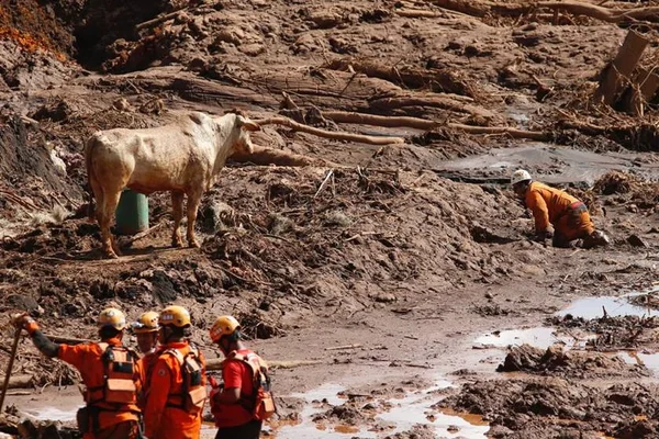Brumadinho: leia a decisão que mandou cinco executivos para a prisão