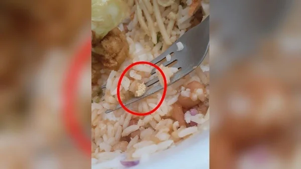 Cliente encontra larvas de moscas em marmita em Dourados
