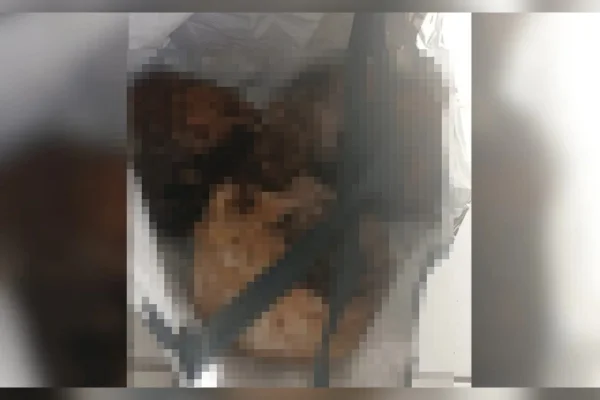 Homem é flagrado com três crânios humanos dentro de sacola em Caps