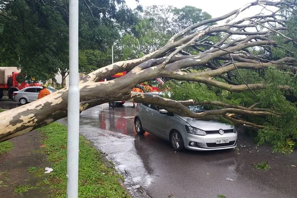 Vídeos. Árvore despenca sobre carro em comercial da Asa Norte