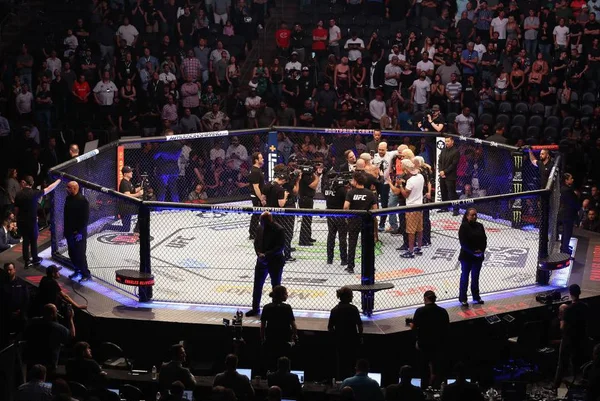 Jovem tenta invadir octógono do UFC, mas é arremessada por segurança