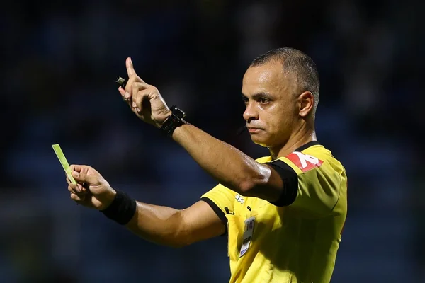 O Palmeiras não está sendo favorecido pela arbitragem. Entenda