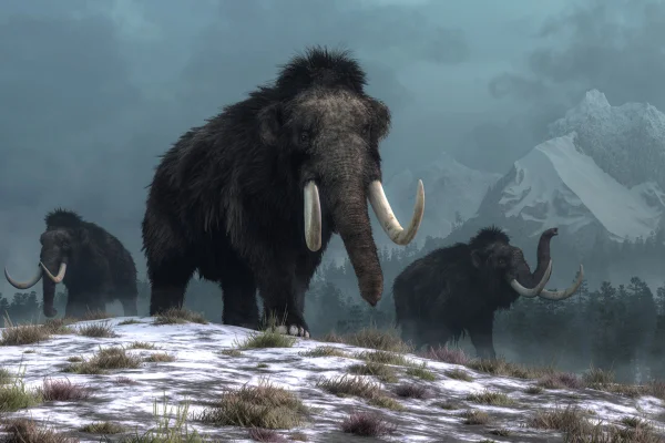 Um trio de mamutes peludos caminha penosamente por colinas cobertas de neve. Atrás deles, montanhas com picos nevados se erguem acima de florestas verde-escuras de abetos. Renderização 3D. Metrópoles