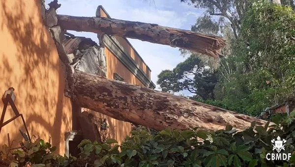 Tronco de árvore caído sobre casa