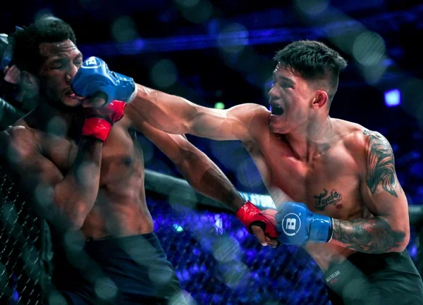 Imagem colorida de Jay Jay Wilson, lutador da PFL- Metrópoles