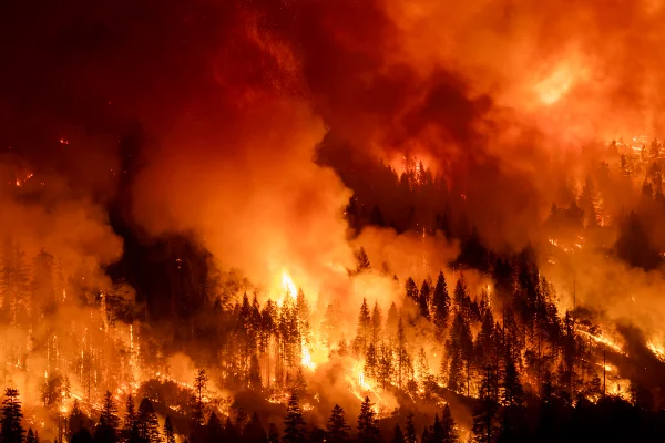 Imagem colorida de parque ambiental em Chico, na Califórnia