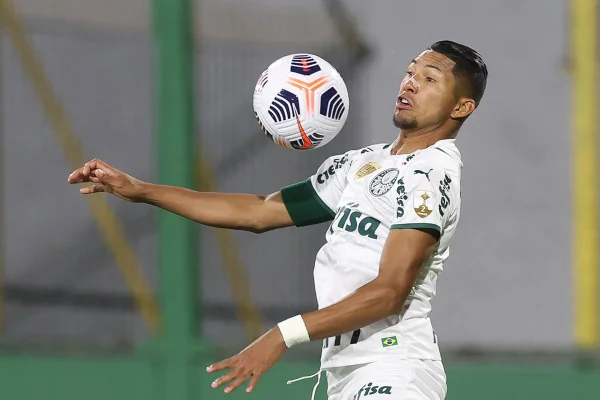 Rony do Palmeiras
