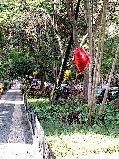 Homenagem do bloco Gigante da Lira para o carnaval no Rio