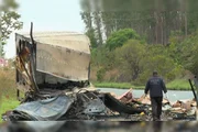 Um dos veículos transportava ovos