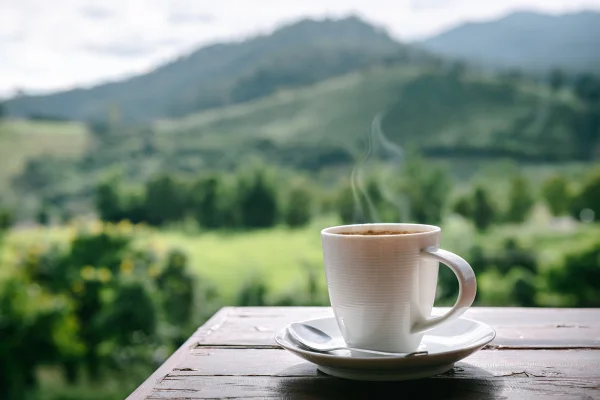 Close-up de uma xícara de café na mesa contra o fundo da paisagem da colina da montanha.