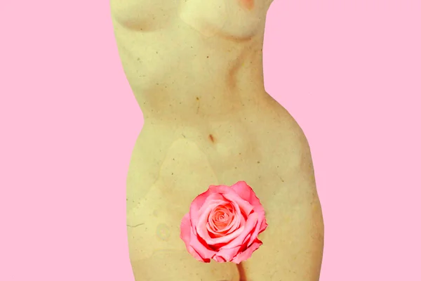 Peruca na careca. Conheça cirurgia que implanta pelos na vagina