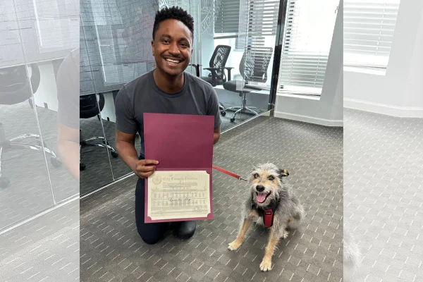 Foto colorida de um certificado - Metrópoles