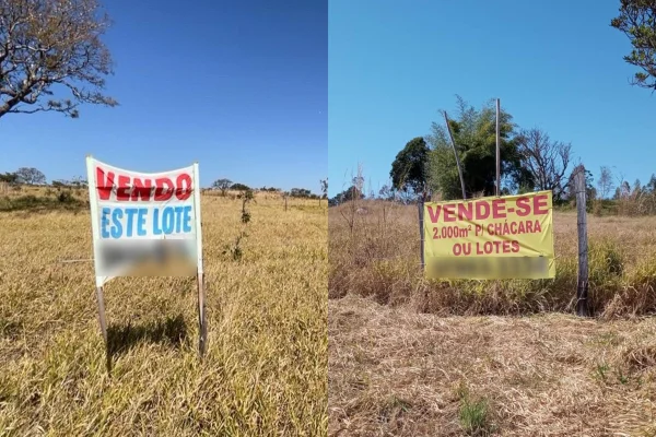 Grileiros voltam a ocupar área protegida e são alvos do DF Legal