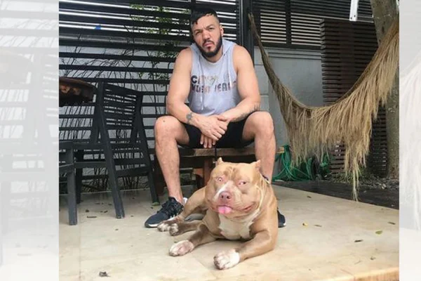 Belo é atacado pelo próprio pitbull e shows são cancelados