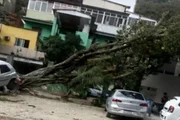 Sobe para 3 o número de mortos por ventania que causou estragos em SP - imagem 6