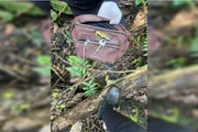 Uma chave ta,bém foi encontrada na bolsa