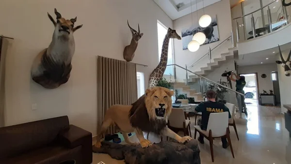 Zoológico macabro no interior de São Paulo. - Metrópoles