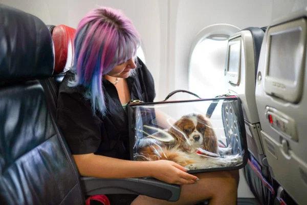 Imagem colorida de mulher com cachorro no colo