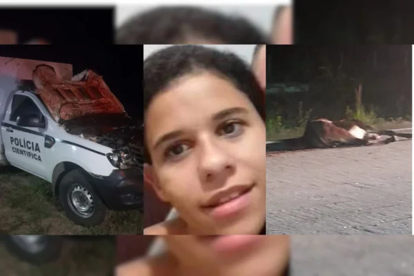 Montagem com fotos coloridas de carro do IML após acidente, mulher encontrada morta e animal após atropelamento - Metrópoles