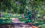 Parque Olhos D'Água, entre as quadras 413 e 414 da Asa Norte Parque Olhos D'Água, entre as quadras 413 e 414 da Asa Norte