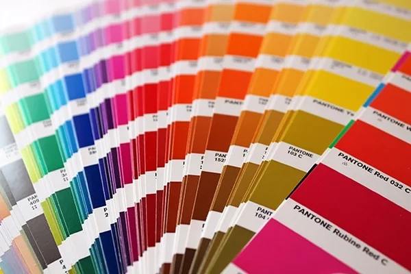 paleta de cores