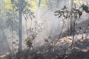 Pirenópolis enfrenta um novo incêndio florestal 