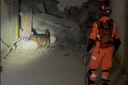 Equipes brasileiras atuam em buscas por vítimas do terremoto na Venezuela Equipes brasileiras atuam em buscas por vítimas do terremoto na Venezuela