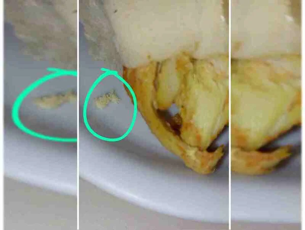 Larvas são encontradas em prato de comida no Hospital de Base - Metrópoles