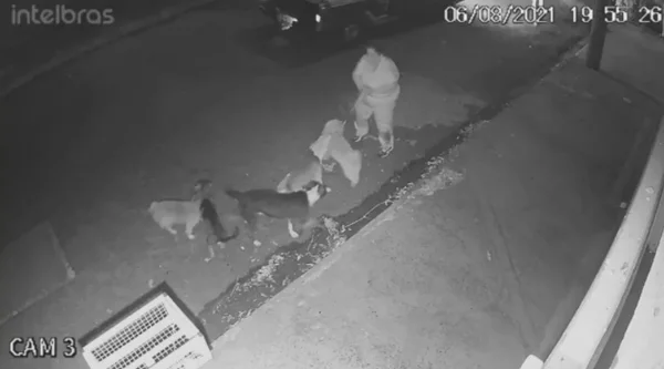 Ataque de Pitbull em Araçatuba