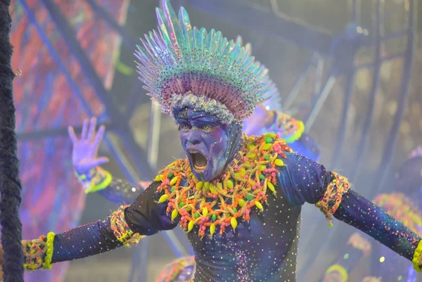 Imagem mostra desfile da Acadêmicos do Tucuruvi - Metrópoles