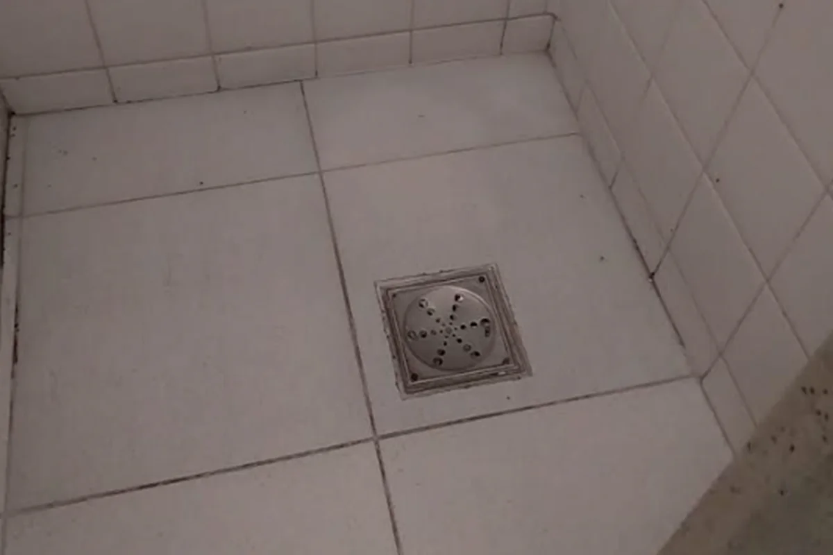 Vigilância Sanitária encontra irregularidades estruturais em banheiro do HRS onde apareceu escorpião Vigilância Sanitária encontra irregularidades estruturais em banheiro do HRS onde apareceu escorpião