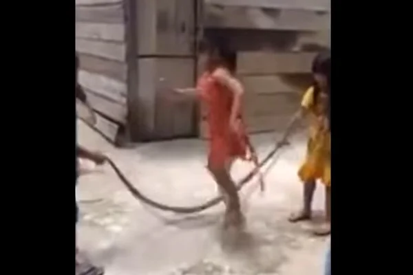Vídeo. Crianças são filmadas brincando de “pular corda” com cobra