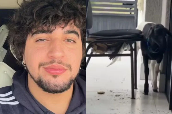 Nattan mostra estragos feitos por carneiro em casa: “Trabalho demais”