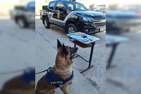 cachorro e objetos apreendidos