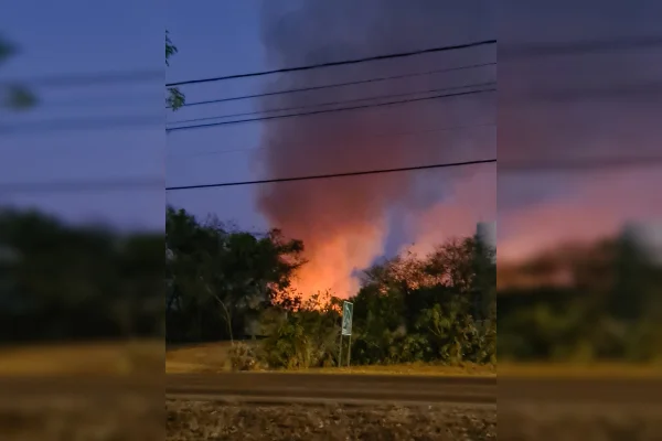 Imagem de um incêndio em vegetação