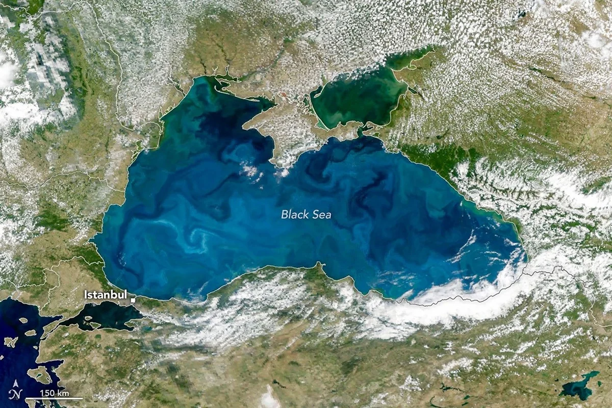Mar Negro ganha tom turquesa por floração de cocolitóforos visível do espaço