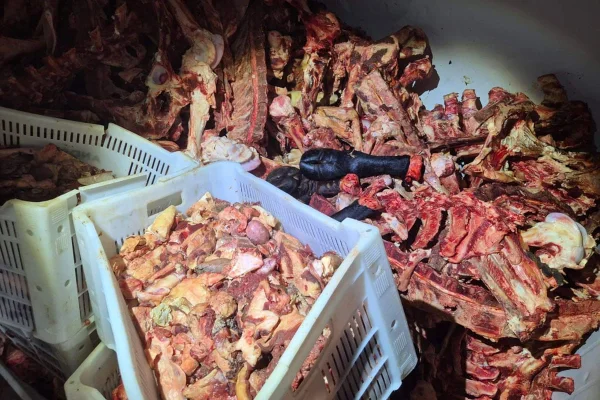 Polícia Civil do Espírito Santo encontra restos de carne para consumo - Metrópoles
