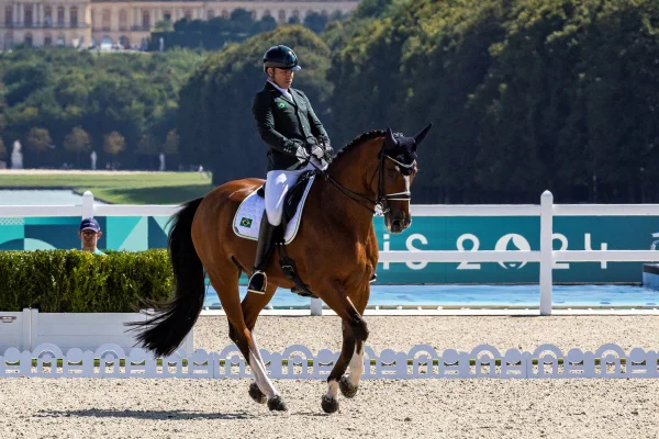 Vídeo: abelha assusta cavalo e Brasil perde medalha nas Paralimpíadas