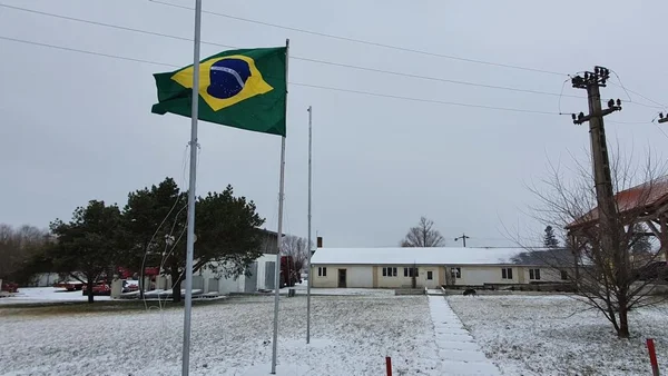 A fazenda da brasileira Maria Thereza Coelho, na Romênia