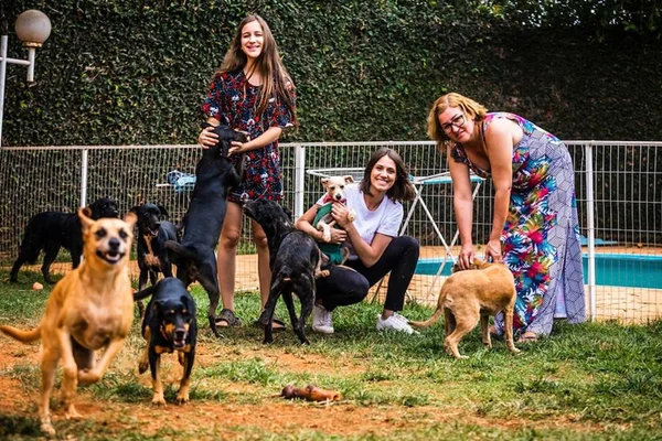 Solidariedade: mulheres fundam projeto para resgatar animais