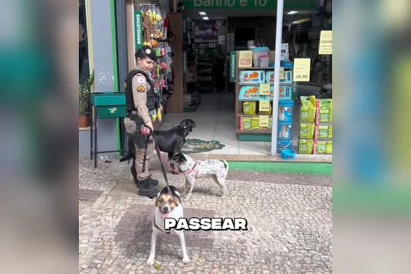 “Patrulha da fofura”: cães viralizam com rotina em batalhão da PM