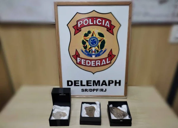 Preso no Rio empresário que explorava diamantes ilegais