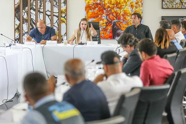 Celina se reúne com deputados e diz ser contra Guarda Nacional do DF