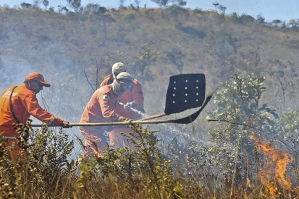 Ibram abre 150 vagas para brigadistas, com salários de até R$ 4,6 mil