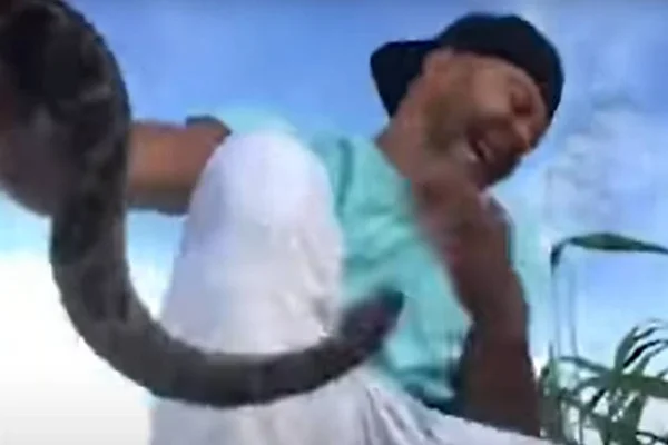 Vídeo: tratador de cobras quase tem olho arrancado por píton