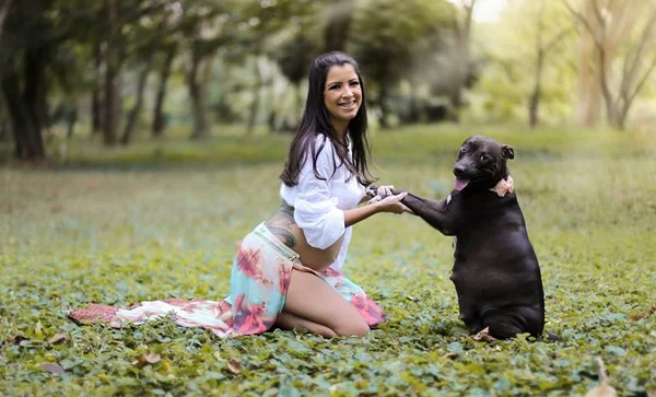 Cachorro pula do 11º andar ao se assustar com fogos de artifício