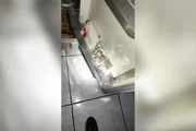 Um suspeito foi baleado após reagir à abordagem Um suspeito foi baleado após reagir à abordagem