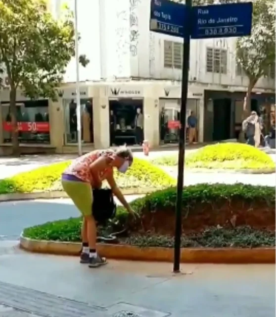 Mulher leva cobra para passear em BH