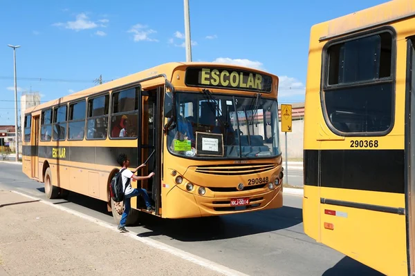 TCB assume gestão compartilhada do transporte escolar no DF